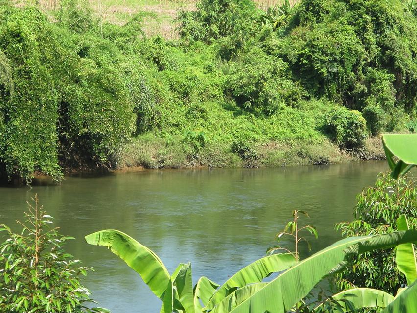 ที่ิดินพร้อมสวนทุเรียน จ.กาญจนบุรี อ.ทองผาภูมิ 10