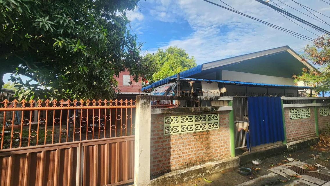 บ้าน+ที่ดิน 10