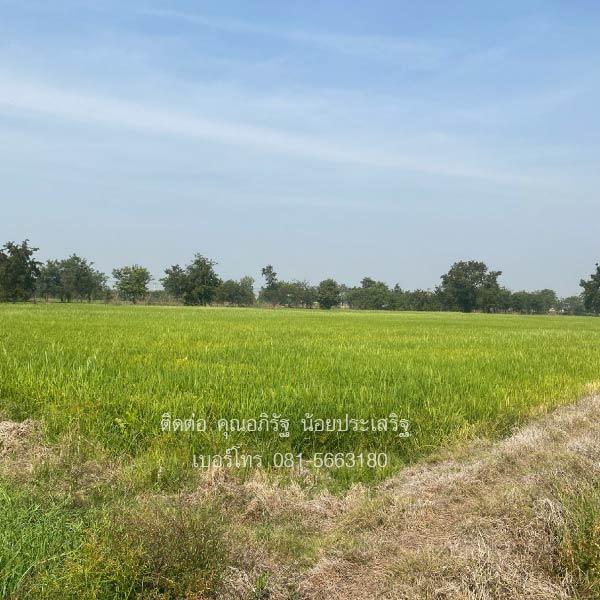 ที่ดินเปล่าราคาถูก 13 ไร่ 85 ตารางวา ตารางวาละ 1,000 บาท ต.หัวดง อ.เก้าเลี้ยว จ.นครสวรรค์ 2