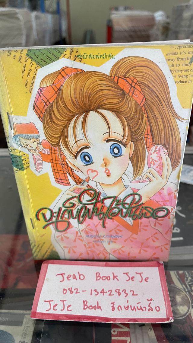 หนังสือนิยาย ปกการ์ตูน 2