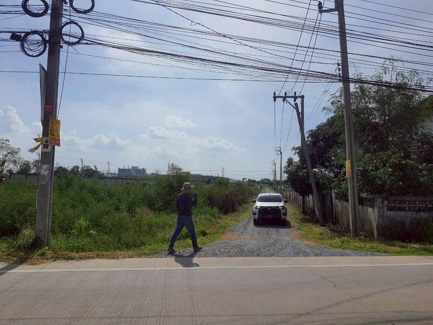 ขายด่วนที่ดินซอยวัดคลองตาคล้าย 128 ตรว ติดถนนสาธารณะ อ.ไทรน้อย จ.นนทบุรี 8