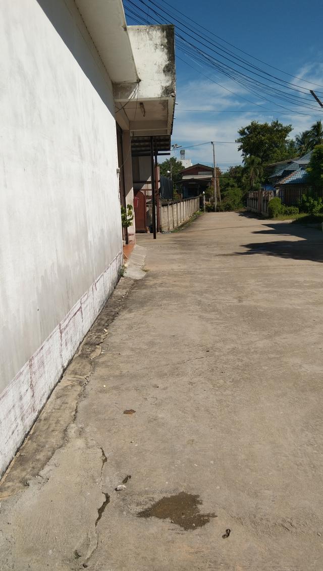 ด่วนขายโรงงานน้ำแข็ง 20 ตัน 2
