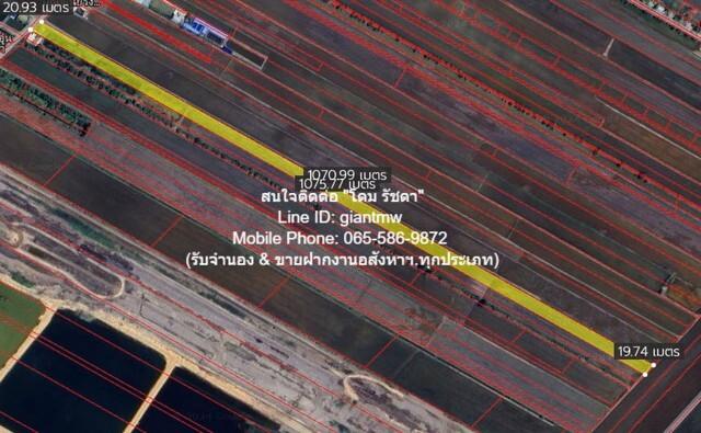 ที่ดิน ขายที่ดินทุ่งนาติดถนน ต.คลองเปร็ง อ.เมืองฉะเชิงเทรา 13-0-24.9 ไร่ 6.25 ล้านบาท 6250000 บาท area 5225 ตารางวา เยี่