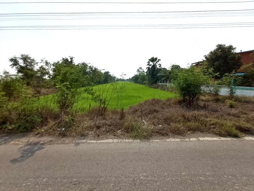 ขายที่ดินใกล้วัดปากกราน อยุธยา เนื้อที่ 5 ไร่ 3 งาน 84 ตร.ว. เหมาะทำการเกษตร หรือสร้างบ้านพัก 2