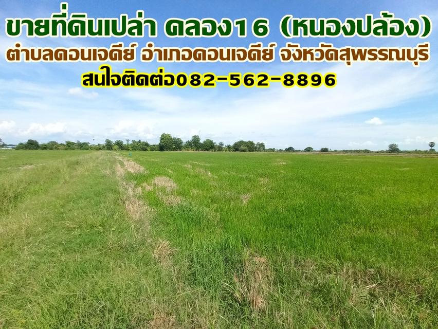 ขายที่ดินเปล่า คลอง16 (หนองปล้อง) อำเภอดอนเจดีย์ จังหวัดสุพรรณบุรี 1