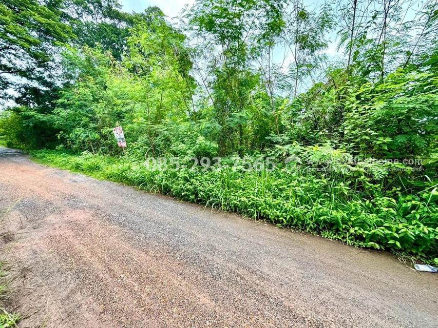 ขายที่ดิน ย่านหนองจอก ถนนคู้-คลองสิบ14 ซอยสวัสดิการแลนด์ แปลงมุม พื้นที่ 103.9 ตารางวา ราคาพิเศษเพียง 750,000 บาท บรรยากาศดี เงียบสงบ พื้นที่สีเขียว 7
