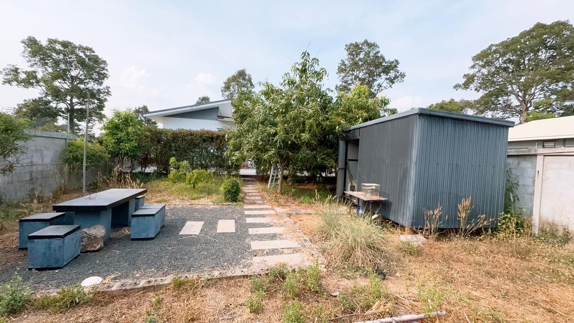 ขายบ้านเดี่ยวชั้นเดียว สไตร์โมเดิร์น 15