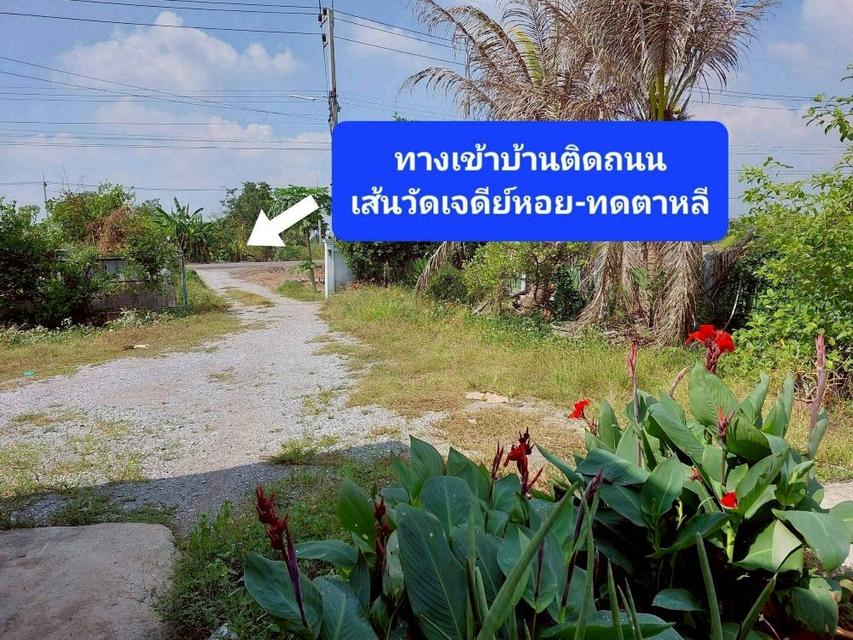 ขายบ้านเดี่ยว 2 ชั้น ตามสภาพ เนื้อที่ 203 ตร.ว. บ้านหันหน้าทิศเหนือ ใกล้ตัวเมือง ใกล้วัดเจดีย์หอย ลาดบัวหลวง พระนครศรีอยุธยา 12