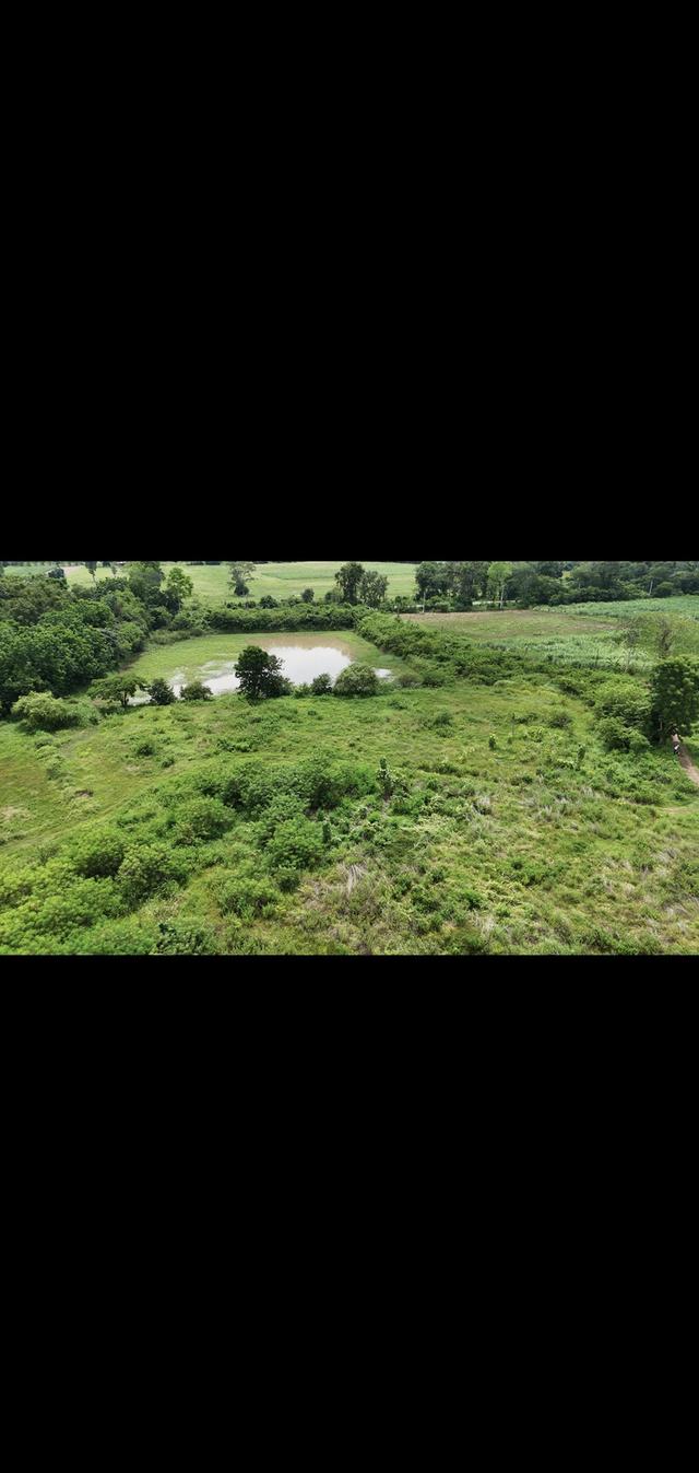 ขายที่ดินแปลงใหญ่อุดร100ไร่ 7