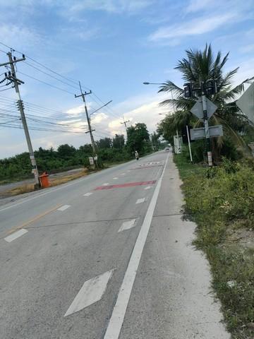 ขายด่วน ที่ดินเปล่า 49 ตร.ว. คลองโยง-พุทธมณฑล ใกล้มหิดล ศาลายา เดินทางเข้ากรุงเทพาะดวก