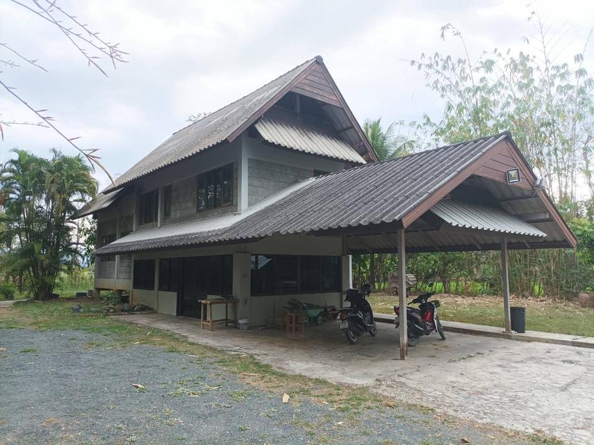 ขายบ้านพร้อมที่ดิน ต.ป่าป้อง อ.ดอยสะเก็ด จ.เชียงใหม่ 1