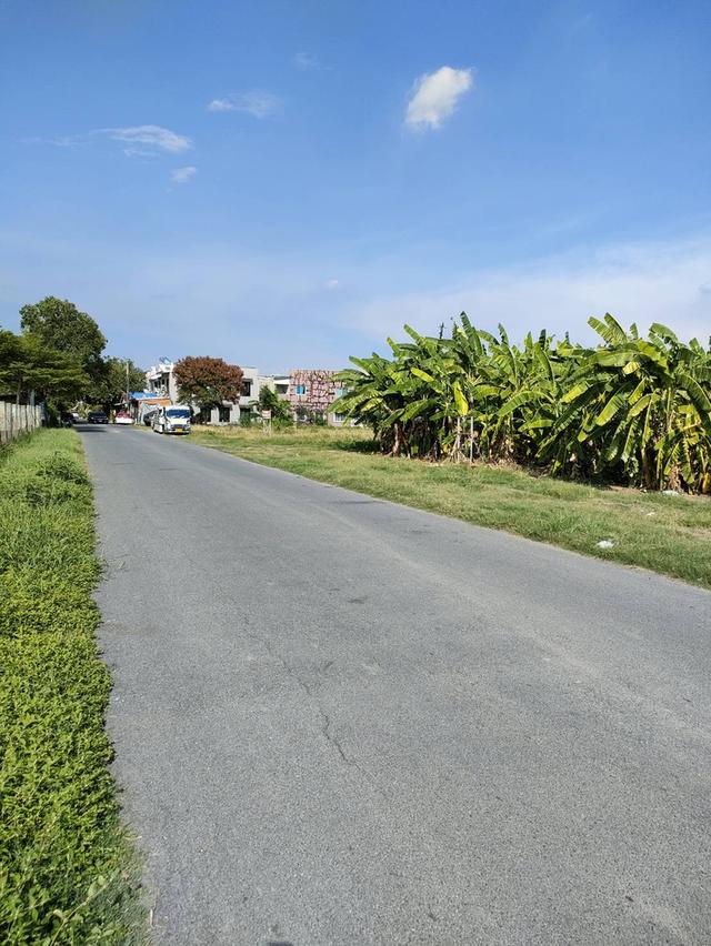 ให้เช่าที่ดินเปล่าถมแล้วในถนนนวลจันทร์ กรุงเทพมหานคร 3