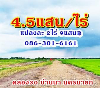 ถูก 4.5แสนต่อไร่ แปลงละ2ไร่ บ้านนา นครนายก ที่ดินทำเกษตร บ้านสวนใกล้กรุงฯ T o86-3ol-6l6l 5