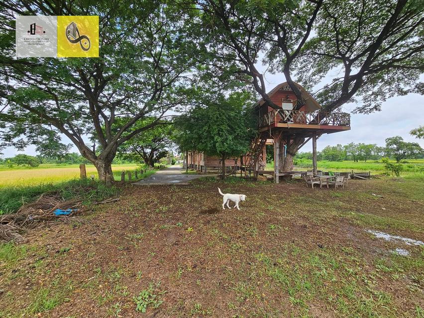 ขายรีสอร์ท เนื้อที่ 13 ไร่ พร้อมเปิดกิจการได้ทันที ใกล้ตัวเมืองแยกเลี่ยงเมืองศิลาไปพระธาตุขามแก่น 15