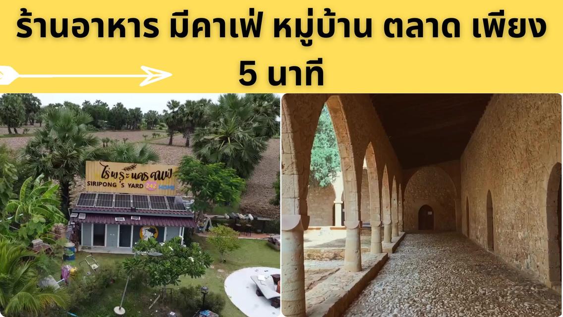 ที่ดินสวนป่า สร้างรายได้ อู่ทอง สุพรรณบุรี ขนาด 10 ไร่  6