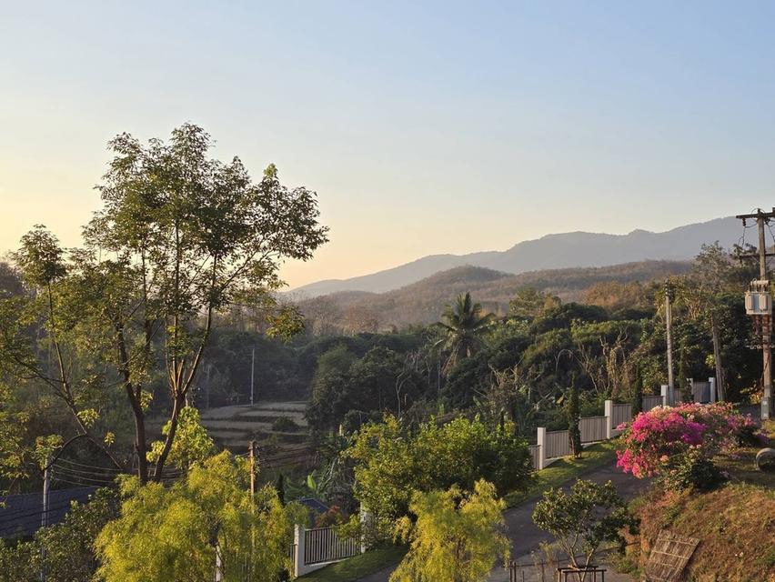 ขายที่ดินพร้อมสิ่งปลูกสร้าง ต.แม่แรม อ.แม่ริม เชียงใหม่ 2