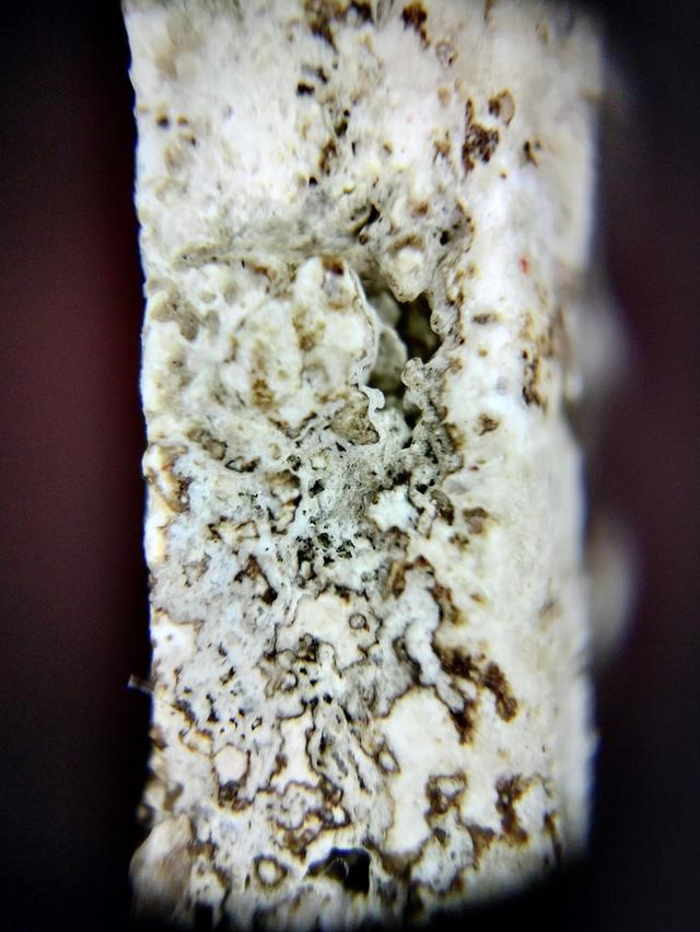 Phra Somdej Wat Rakhang รูปที่ 12