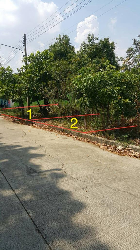 ที่ดินราคาถูก ใกล้สนามช้าง อนู่ในอำเภอเมืองบุรีรัมย์ ติดกับตลาดนัด เข้าออกสำดวก ถนนดี 5