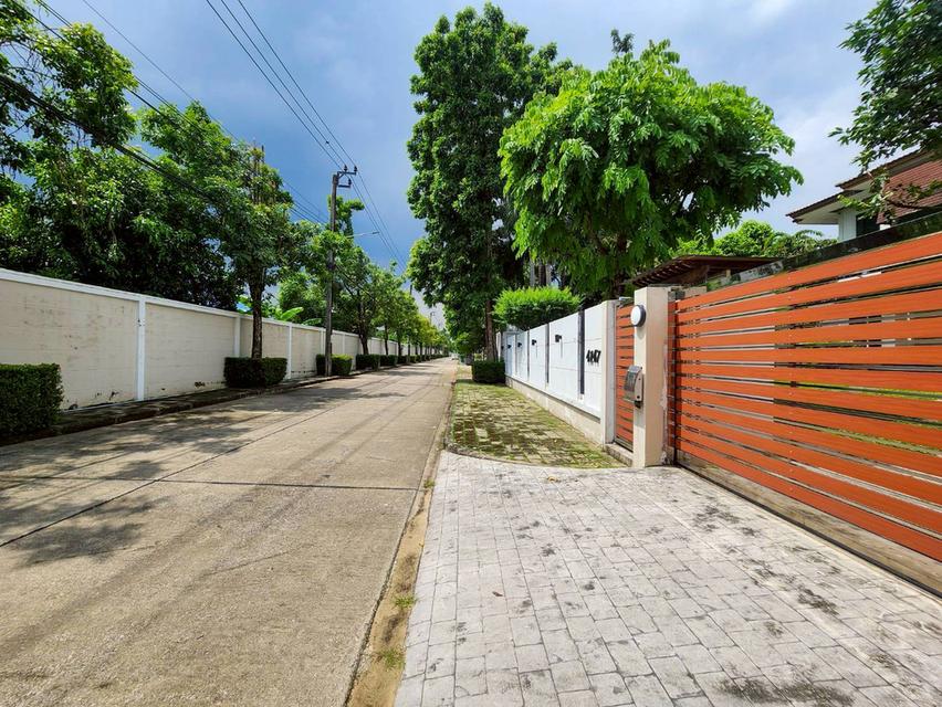 ให้เช่าบ้านเดี่ยว บ้านหมู่บ้านบ้านลาดพร้าว Exclusive ซ.โยธินพัฒนา11 ทำเลถนนเลียบด่วนเอกมัย รามอินทรา (N.1899) 4