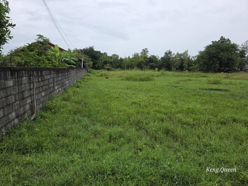 ที่ดินเปล่า บ้านพัก ตึกอาคาร 2