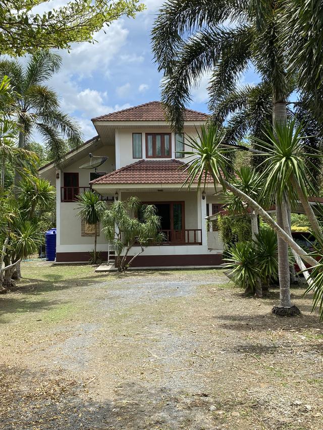 บ้านเดี่ยวพร้อมที่ดิน 14