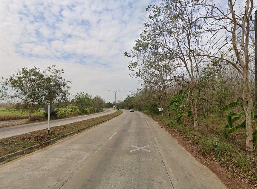 ขายที่ดินหนองใหญ่ 30 ไร่ ติดถนนสี่เลนเส้นหนองใหญ่ ใกล้นิคมโรจนะหนองใหญ่-5กม. จ.ชลบุรี 2