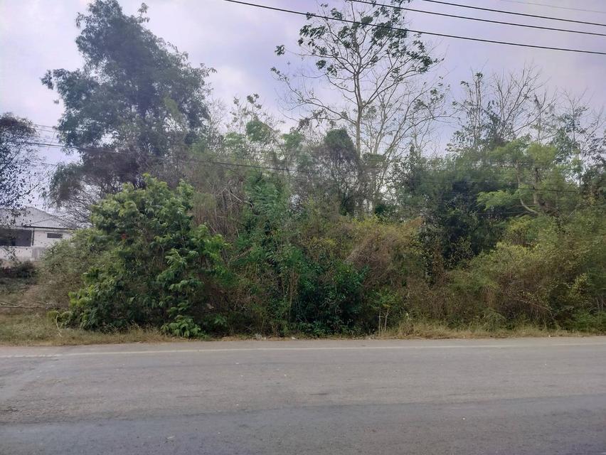 ขายที่ดินเปล่า(3ไร่ 2งาน) ใกล้บ้านจัดสรร ติดถนนสุวรรณศร33 ราคา5000000บาท 4