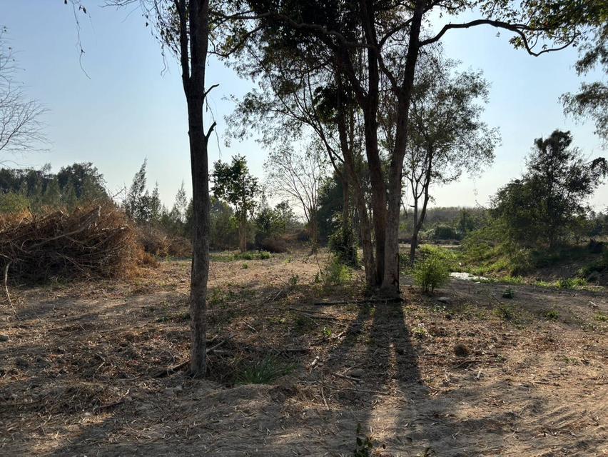 ขายที่ดินเปล่า หัวหิน ทับใต้ 12-3-13 ไร่ ติดถนน ทำเลดี ใกล้แม็คโคร ปราณบุรี 9