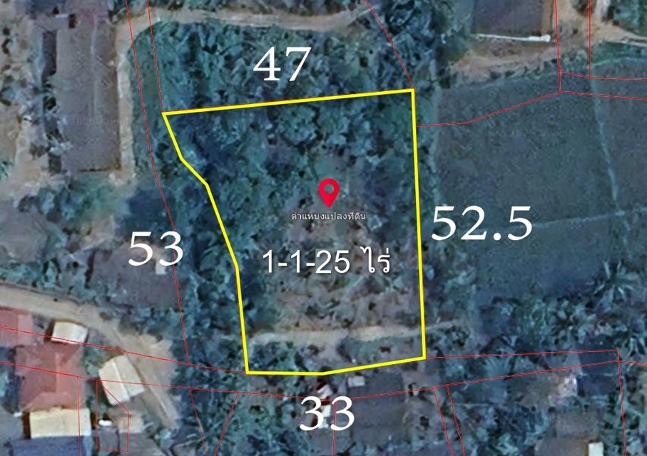  ที่ดินสวนลำไย 1-1-25 ไร่ วิวภูเขา ติดถนนคอนกรีต 2 ด้าน 13