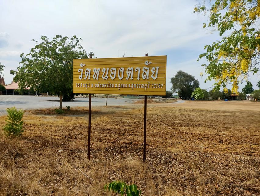ที่ดิน โฉนด มี 2 แปลง 3 ไร่ กับ 3 ไร่ 300  วา 4