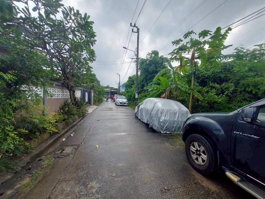 ขายที่ดินเปล่า ซอยเศรษฐกิจ 50/1 ภาษีเจริญ กรุงเทพมหานคร 3