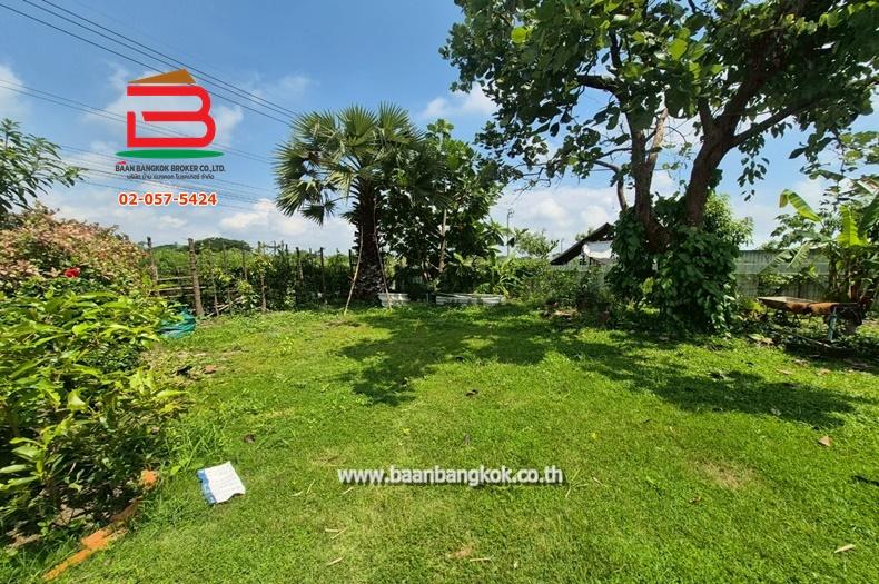 ที่ดิน ถมแล้ว ซอยประชาร่วมใจ 57 เนื้อที่ 1 ไร่ ถนนประชาร่วมใจ แขวงทรายกองดินใต้ เขตคลองสามวา กรุงเทพมหานคร 8