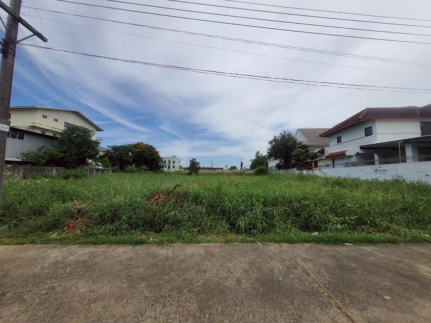 ที่ดิน 4