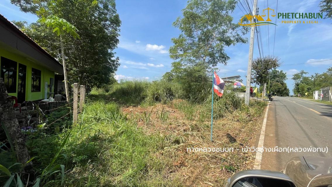 ที่ดินเงิน125 ตารางวา ติด อบต.วังชมภู อ.เมือง จ.เพชรบูรณ์ 9