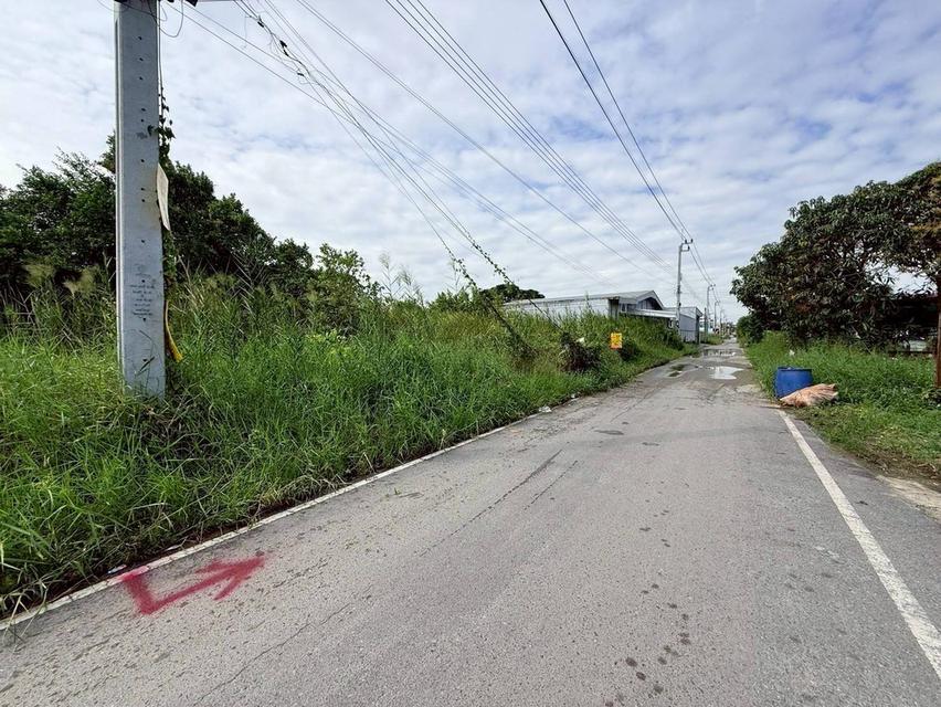 Vายด่วนที่ดินบ้านใหม่ 199 ตารางวาทติดถนนลาดยาง มีไฟฟ้า 3 เฟส ซอย เคหะ-บ้านใหม่ 21 อ.บางใหญ่ จ.นนทบุรี 4