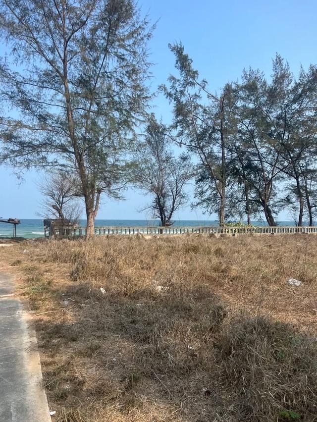 ต้องการขายที่ดินติดทะเล 5