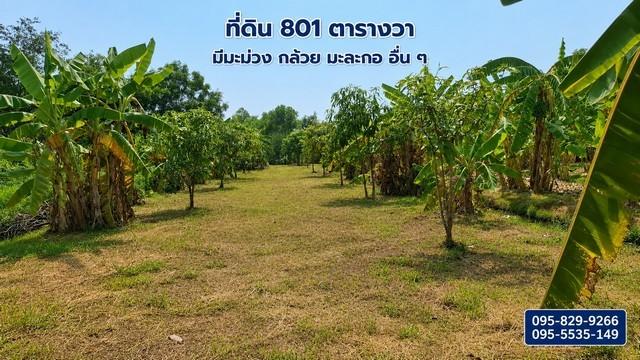 ขายที่ดินถมแล้ว 2-0-01ไร่ โครงการ Wellness City (เวลเนสซิตี้) เพื่อการพักวัยเกษียณ ใกล้ถนนปทุมธานี-สามโคก-เสนา (ทล.3111) 1