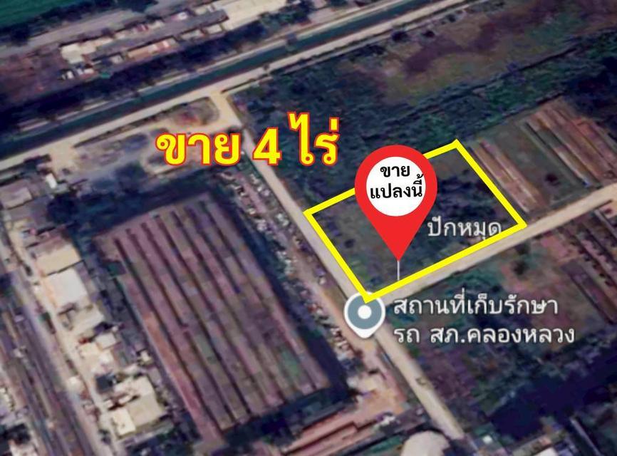 ที่ดินถมแล้ว1-4ไร่แบ่งขาย(80×80ม.)ติดถนน10ม.2ด้านห่างถนน6เลน200ม..รังสิตเลคแลนด์ ถนนคลองหลวง คลองสี่ ปทุมธานี 8,000.-/ตรว.ถูกเท่าประเมิน 081-402-4145 4