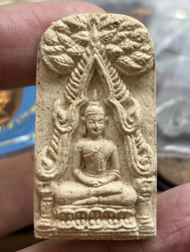 พระเนื้อผง พระซุ้มชินราช ปรกโพธิ์ ท่าเรือ วัดพระมหาธาตุวรมหาวิหาร นครศรีธรรมราช พ.ศ.๒๕๓๙ สวยครับ