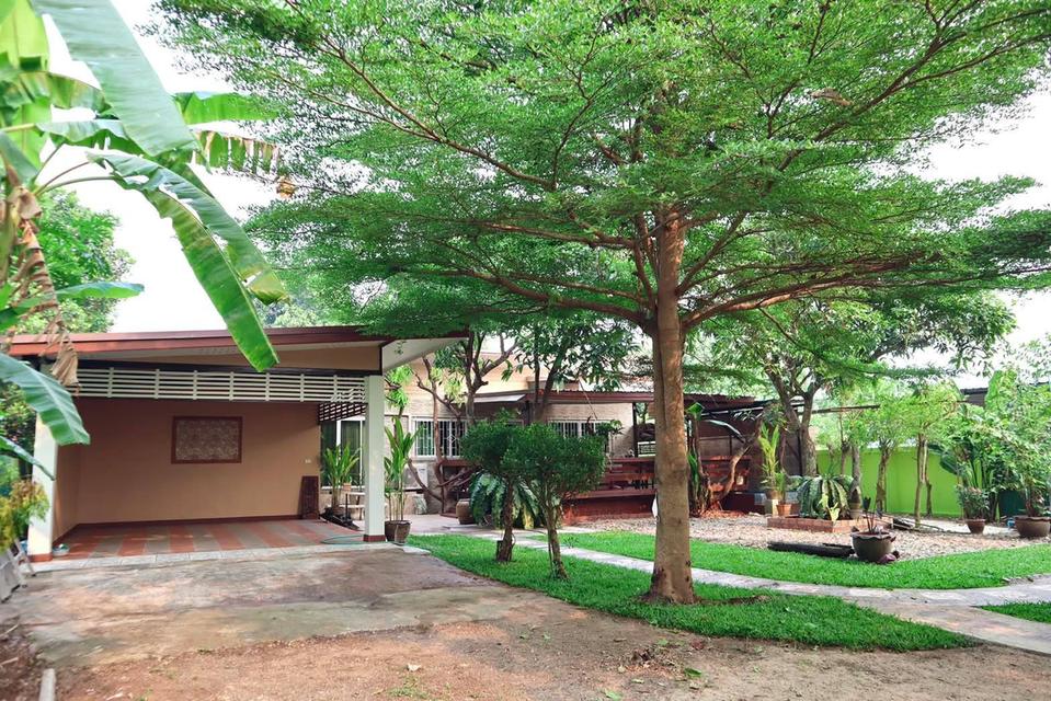 🏡ขายที่ดินแถมบ้านสวนใกล้ร.พ.สันทราย/กาดฝรั่ง/ม.แม่โจ้ เข้าเมืองไม่เกิน 20 นาที น้ำไม่ท่วม 9