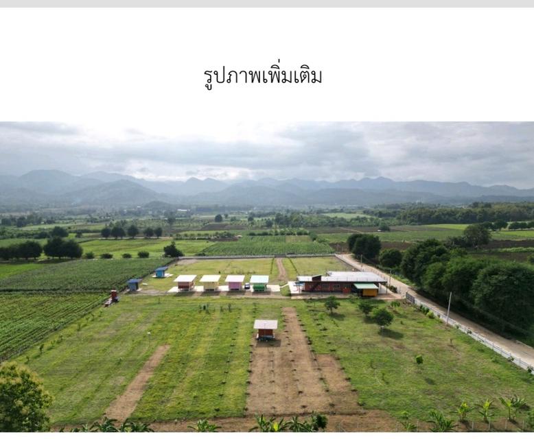 ที่ดินสวย หัวมุมถนน  วิวเทือกเขาล้อม 360 องศา  วิวธรรมชาติสุดๆ  นกเยอะ  อากาศบริสุทธิ์ 3