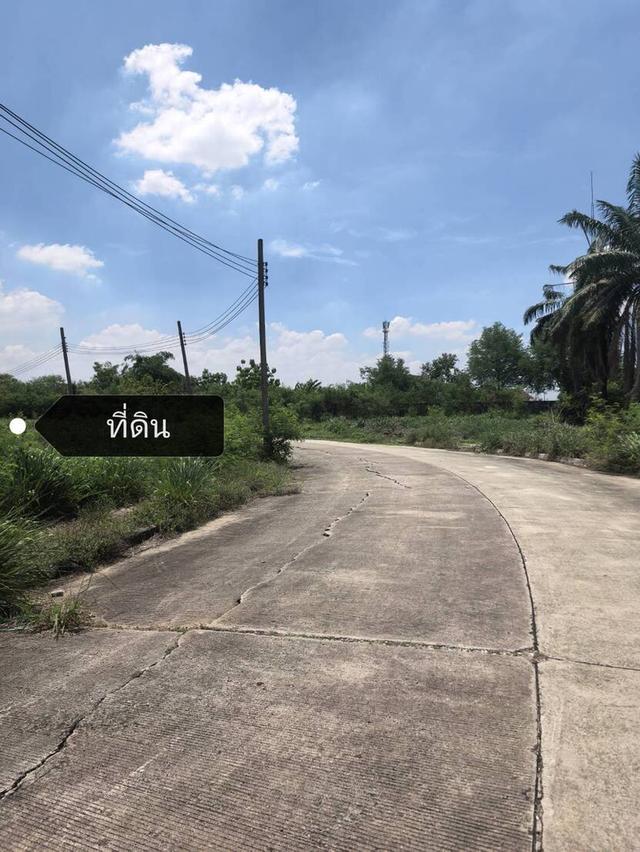 ที่ดินเปล่า 268ตรว. ในสนามกอล์ฟวินด์เซอร์ Windsor มีนายหน้าแล้วยังไม่รับเพิ่มเติม 3