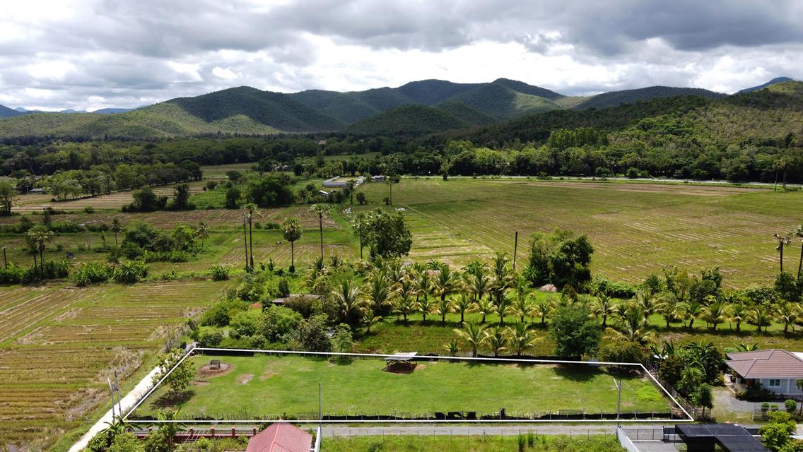 ขายที่ดิน 1 ไร่ ถนนคอนกรีต วิวดอย น้ำ-ไฟ-เน็ตพร้อม ใกล้ถนนตัดใหม่เพียง 500 ม.
