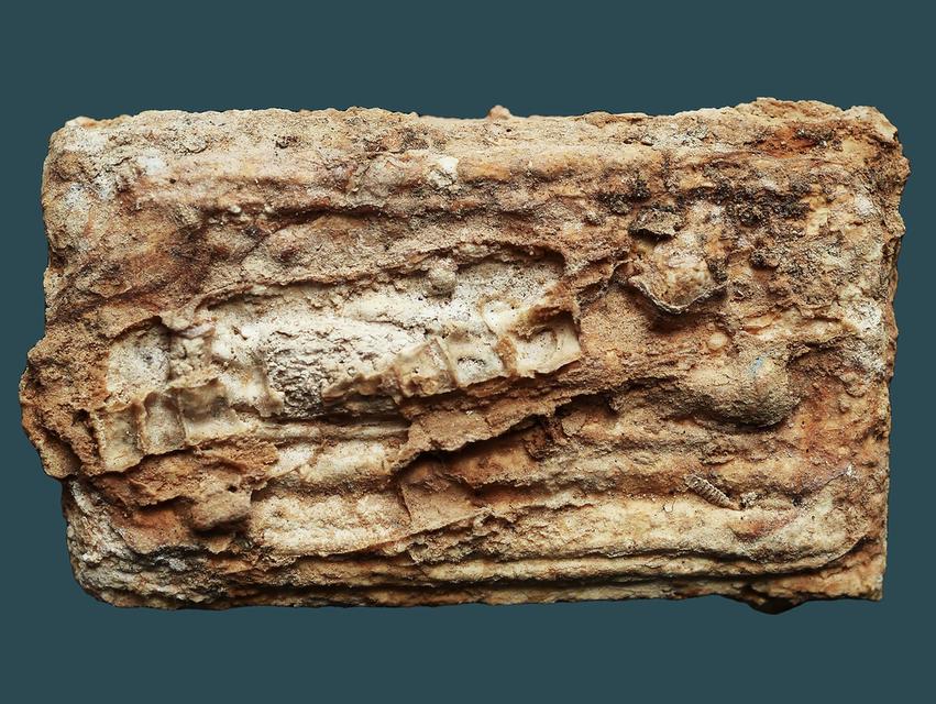 พระสมเด็จบางขุนพรหม กรุใหม่ เจดีย์เล็ก พิมพ์ปางไสยาสน์....เก่า เดิม คราบกรุจัดๆ