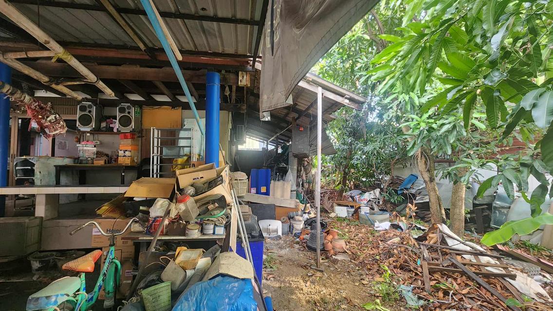บ้าน+ที่ดิน 2