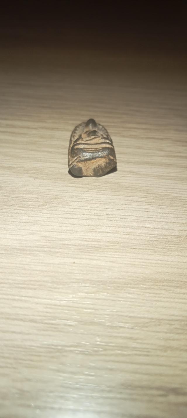 พระรอดพิมพ์ใหญ่ พระเก็บไว้นาน 2