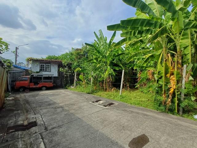 ขายที่ดิน 416 ตรว. (1 ไร่) ถมแล้วย่านเลียบด่วน นาคนิวาส 21 ทะลุ สังคมสงเคราห์ 28 ได้ ที่ดินหน้ากว้างสวย ถนนกว้าง ที่สวย 7