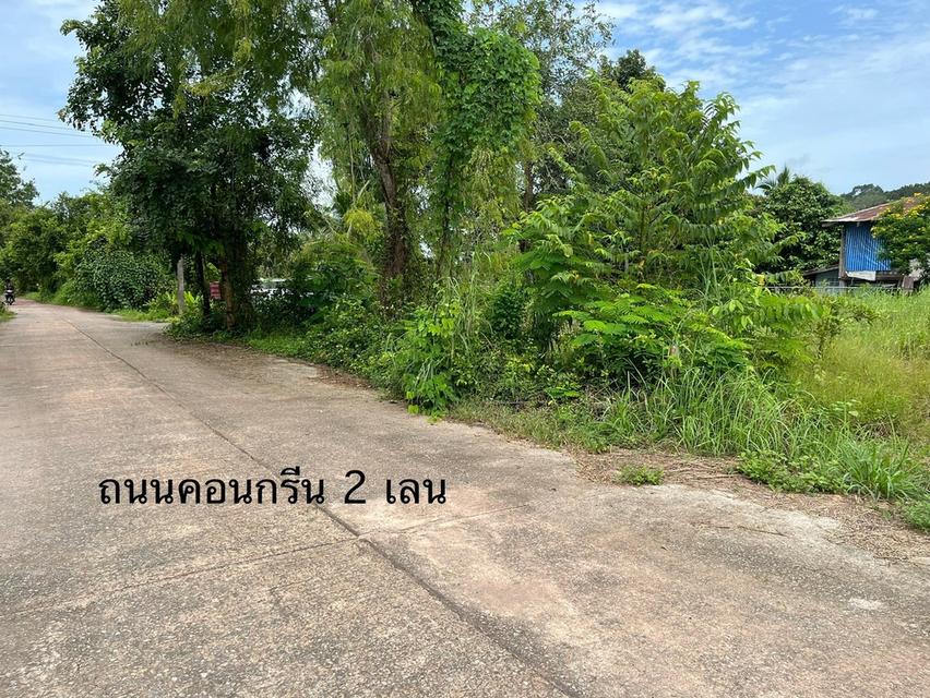 ขายที่ดินปราจีนบุรี ตำบลโคกไม้ลาย อำเภอเมืองปราจีนบุรี