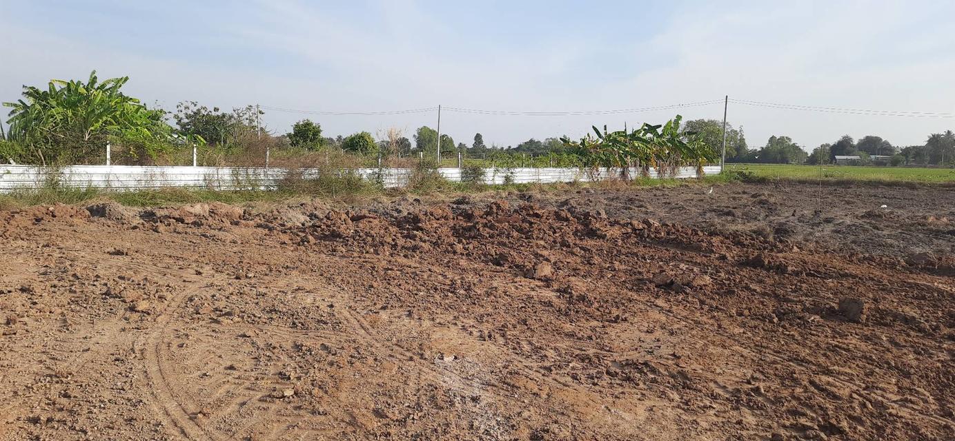 ขายที่ดินแปลงเล็กถมเเล้ว ผ่อนได้ ต. หนองผักนาก อ.สามชุก จ.สุพรรณบุรี 6