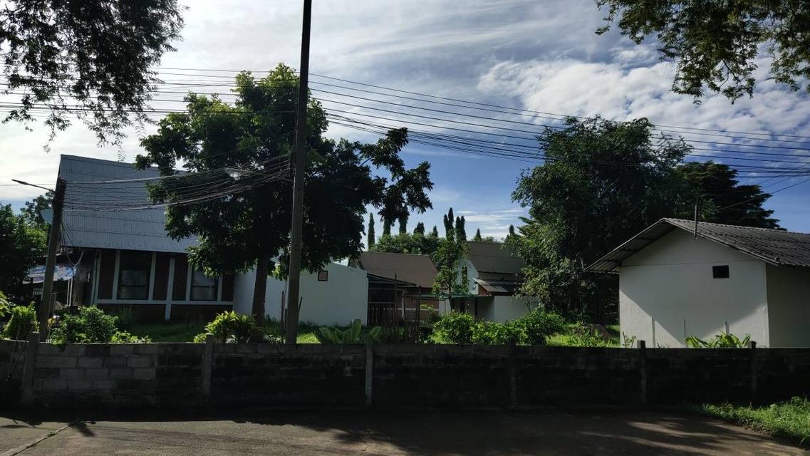 🌳 [ขายด่วน/急售] ที่ดินทองคำ บ้านโป่ง ราชบุรี (550K/ไร่) ติดถนนลาดยาง 3 ด้าน | น้ำไม่ท่วม 100% | เหมาะทำเกษตร โรงงาน และ Wellness Center 19